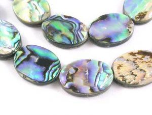 Zvětšit fotografii - Abalone natural 1 ks