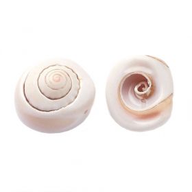 Přírodní mušle Shiva s dírkou, velikost 15-22x7-13 mm, 30 gramů